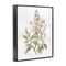 Stupell Industries Dainty Blooming Botanical Framed Giclee Wall Art Design by Carol Robinson
